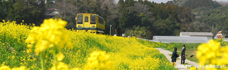 千葉県税理士会茂原支部